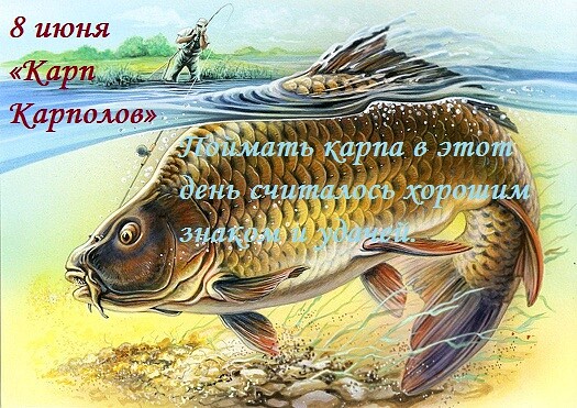 na-karpa-karpolova-rybku-zolotuyu-v-seti-lovi1