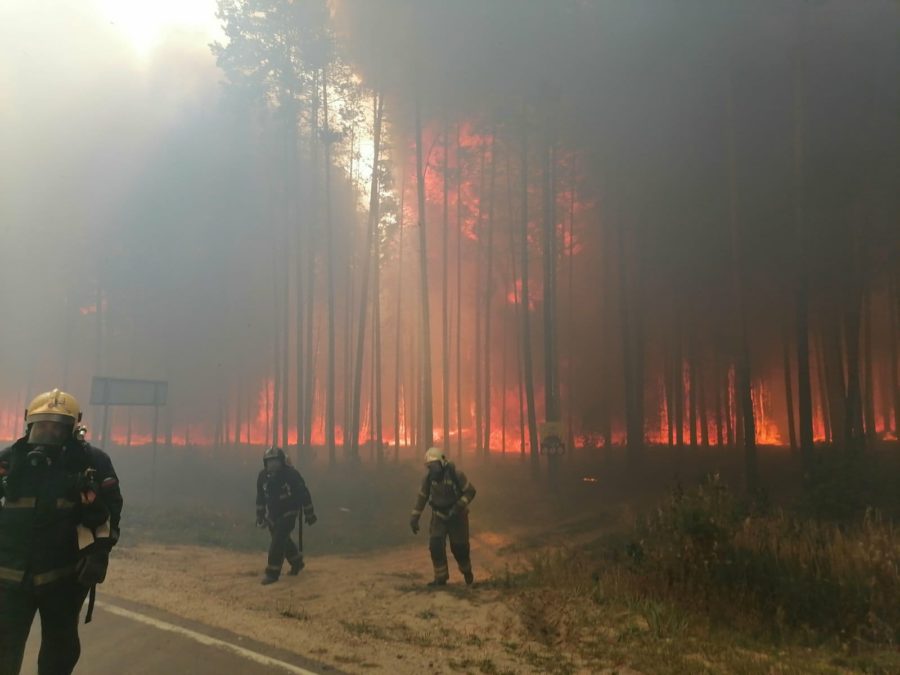 Площадь лесного пожара в Марий Эл достигла 700 гектаров и продолжает увеличиваться