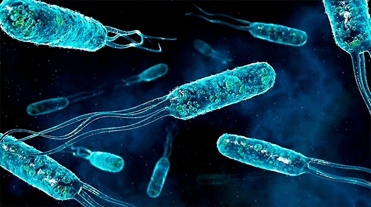 v-doline-smerti-najdeny-bakterii-zastryavshie-v-evolyutsii-na-1_p12355