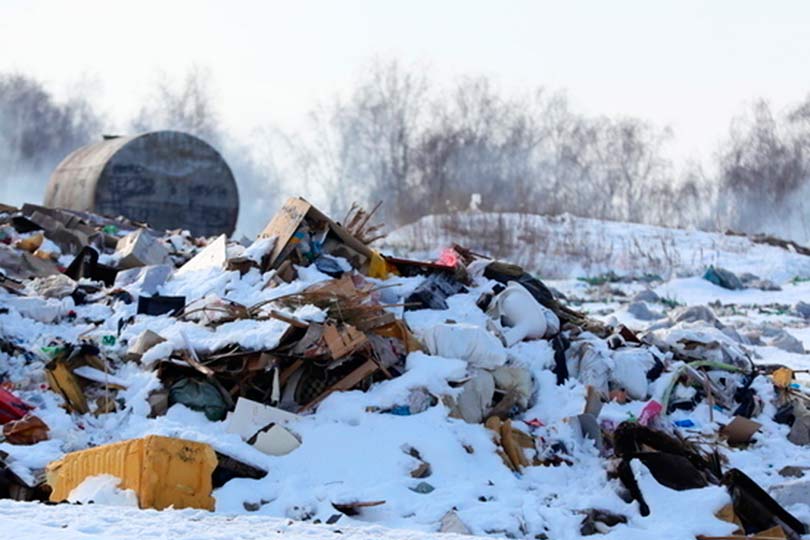 zhutkaya-nakhodka_-na-svalke-v-chelyabinskoj-oblasti-obnaruzhen_p72768